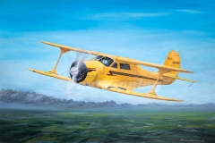 Beechcraft 17 'Staggerwing'