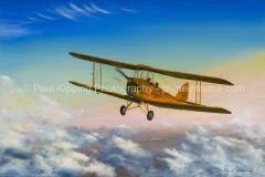 de Havilland DH.82A Tiger Moth