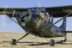 Cessna-O-1-Bird-Dog-F-AZMX-2022