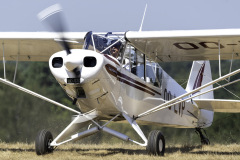 Piper-L-21B-Super-Cub-PA-18-135-OO-LVP-2022