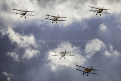 Stampe-Vertongen-SV-4
