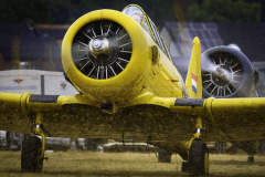 Noorduyn-AT-16-Harvard-II-PH-LSK-2025