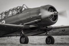 Noorduyn-AT-16-Harvard-IIB-PH-TBR-2025